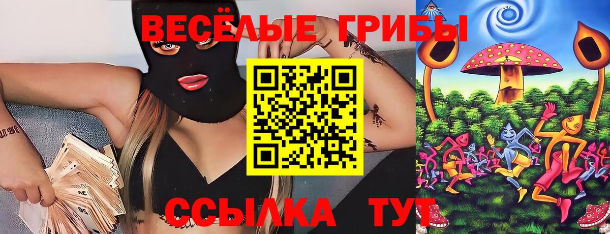 Галлюциногенные грибы Psilocybine cubensis Отрадное