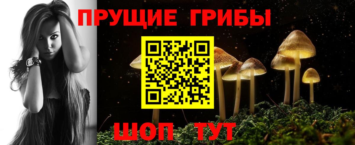 Отрадное  Галлюциногенные грибы GOLDEN TEACHER  Вход с VPN 